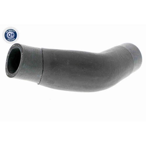 VAICO K&uuml;hlerschlauch Q+, Erstausr&uuml;sterqualit&auml;t V20-2608