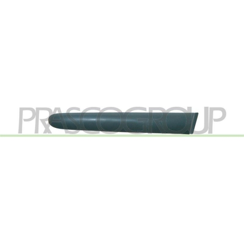 PRASCO Zier-/Schutzleiste, Kotfl&uuml;gel PG0091402