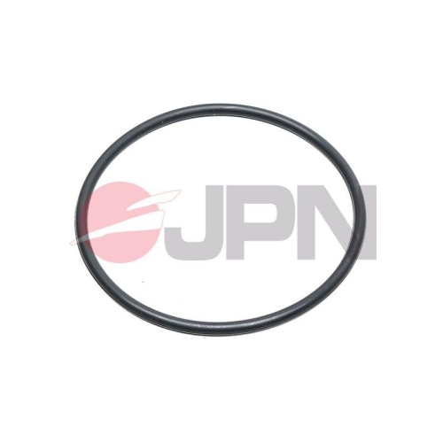 JPN Dichtung, Kraftstoffpumpe 20M0007-JPN