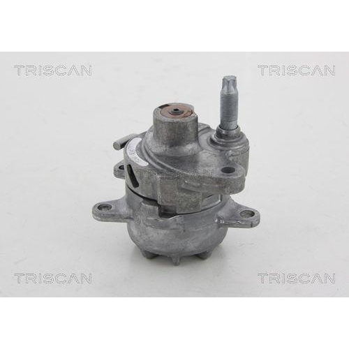 TRISCAN Riemenspanner, Keilrippenriemen 8641 232018