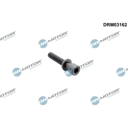 Dr.Motor Automotive Schraube, Einspritzd&uuml;senhalter DRM03162