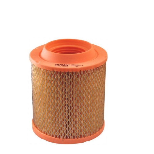 FILTRON Luftfilter AR 367/1
