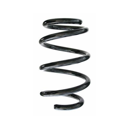 SPIDAN Fahrwerksfeder 87453