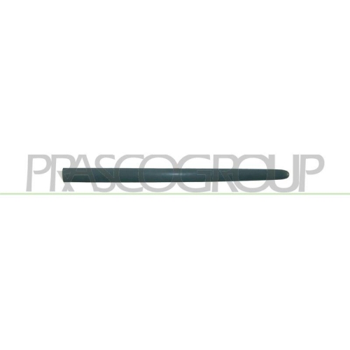 PRASCO Zier-/Schutzleiste, T&uuml;r PG0091403