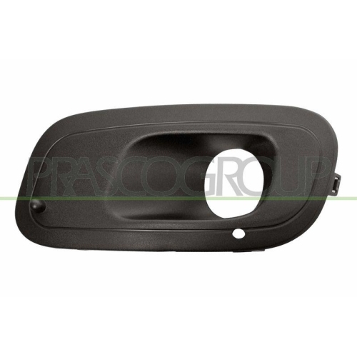 PRASCO L&uuml;ftungsgitter, Sto&szlig;f&auml;nger FT1242134