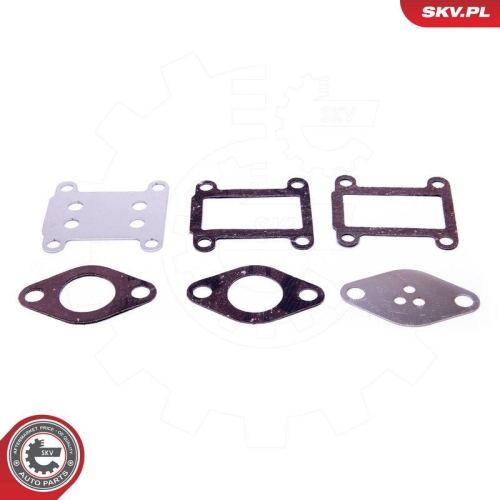 ESEN SKV Reparatursatz, AGR-Ventil 14SKV528