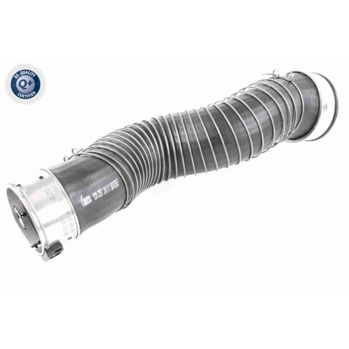 VAICO Ladeluftschlauch Q+, Erstausrüsterqualität V20-3251