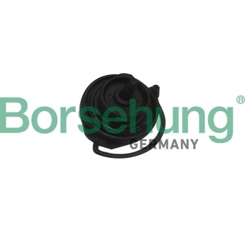 Borsehung Verschluss, Kraftstoffbehälter