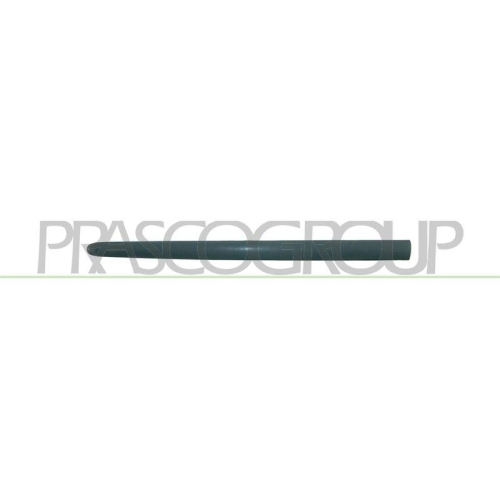 PRASCO Zier-/Schutzleiste, T&uuml;r PG0091404