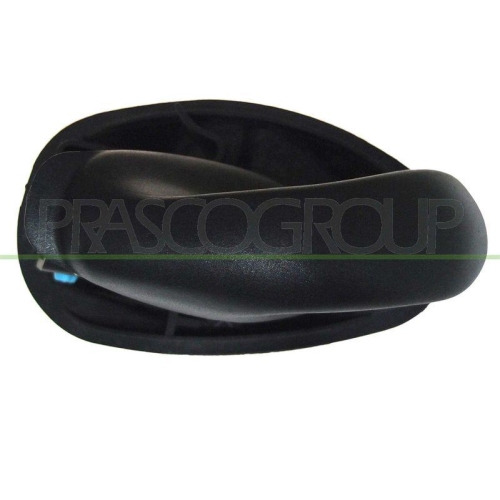 PRASCO T&uuml;rgriff, Innenausstattung FT0198402