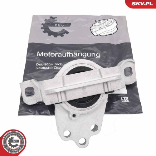 ESEN SKV Lagerung, Motor 75SKV296
