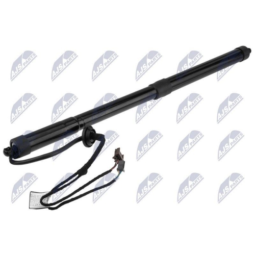 NTY Gasfeder, Koffer-/Laderaum AE-RE-074