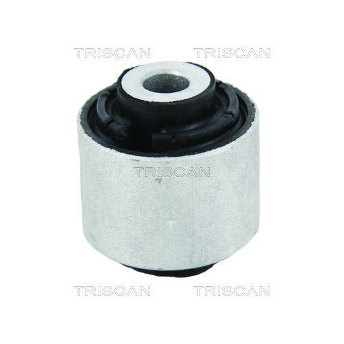 TRISCAN Lagerung, Lenker 8500 29885