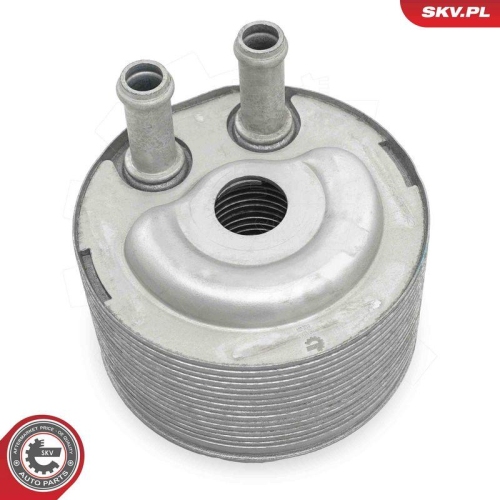 ESEN SKV &Ouml;lk&uuml;hler, Motor&ouml;l 31SKV315