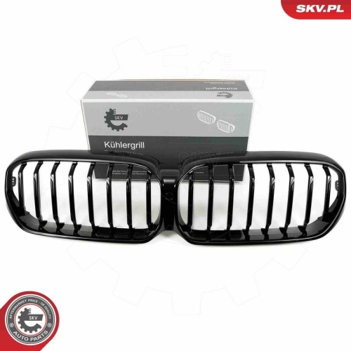 ESEN SKV Kühlergitter
