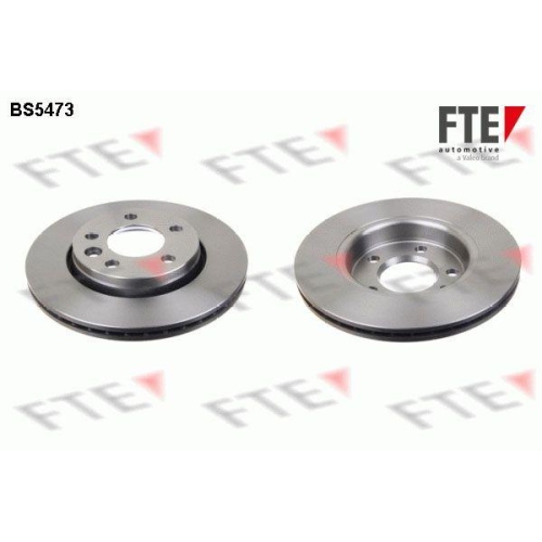FTE Bremsscheibe 9072608