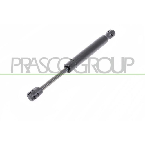 PRASCO Gasfeder, Koffer-/Laderaum AA0909065