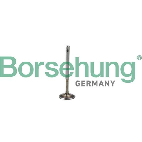 Borsehung Auslassventil B19009