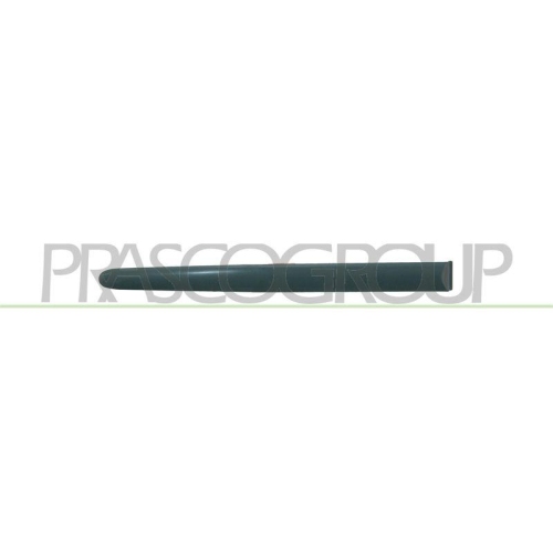 PRASCO Zier-/Schutzleiste, T&uuml;r PG0091453