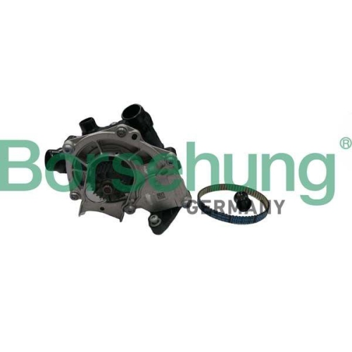 Borsehung Wasserpumpe, Motorkühlung