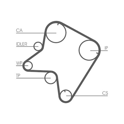 CONTINENTAL CTAM Zahnriemen CT762