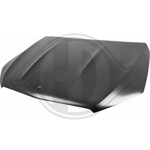 DIEDERICHS Motorhaube 1693100