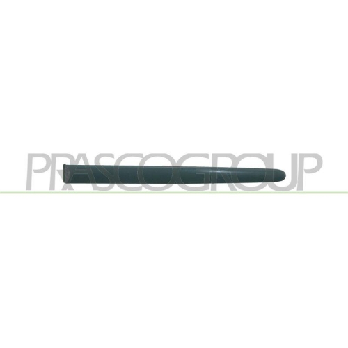 PRASCO Zier-/Schutzleiste, T&uuml;r PG0091454