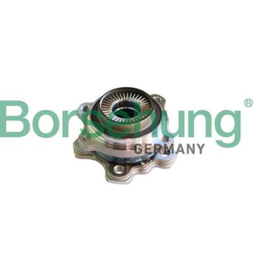 Borsehung Radlagersatz