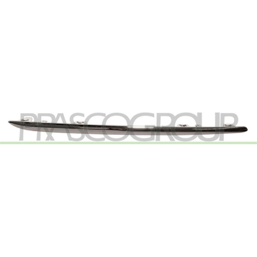 PRASCO Zier-/Schutzleiste, Sto&szlig;f&auml;nger ME0451263