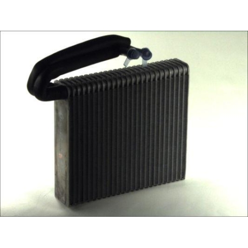 THERMOTEC Verdampfer, Klimaanlage KTT150006