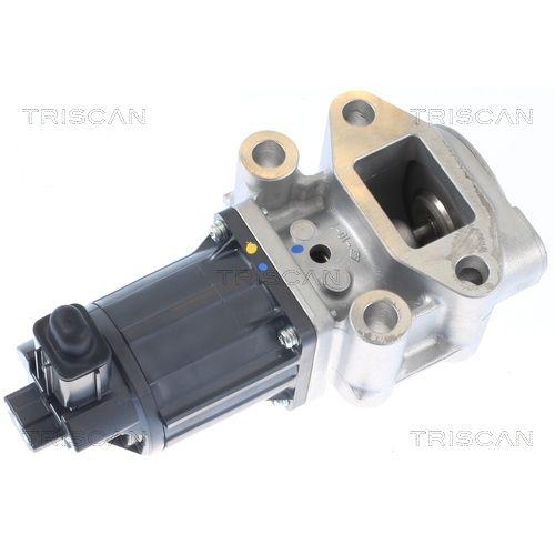TRISCAN AGR-Ventil 8813 42001