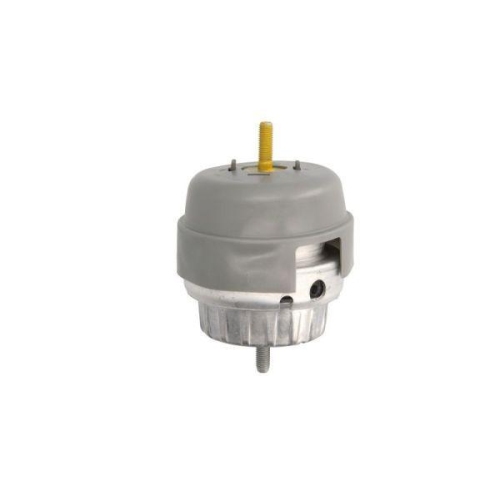 REINHOCH Lagerung, Motor RH11-0069