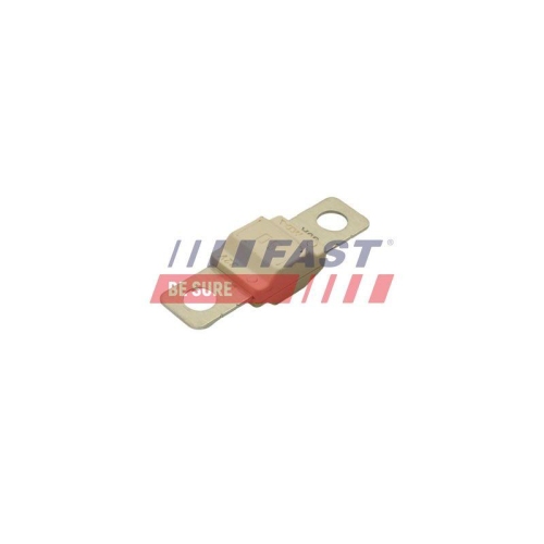 FAST Sicherung FT83405