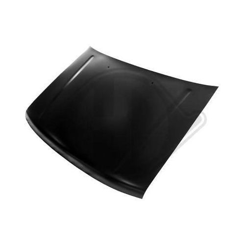 DIEDERICHS Motorhaube 6083000