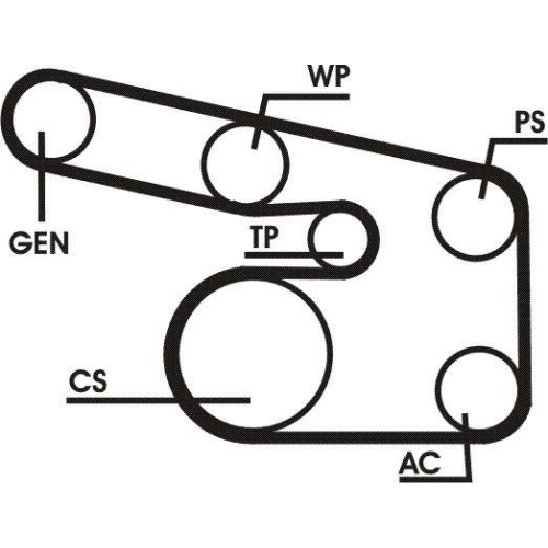 CONTINENTAL CTAM Keilrippenriemensatz 6PK1900D1