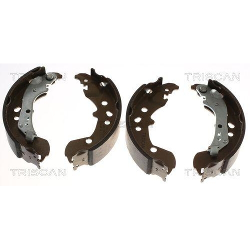 TRISCAN Bremsbackensatz 8100 29006