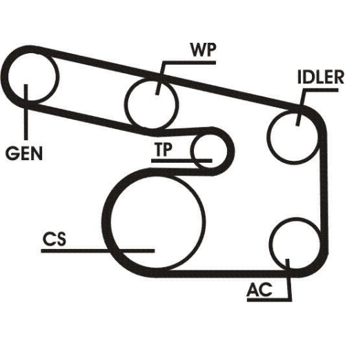 CONTINENTAL CTAM Keilrippenriemensatz 6PK1873D1