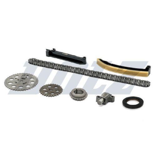 DOLZ Steuerkettensatz