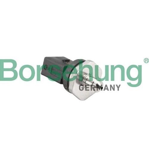 Borsehung Sensor, Kraftstoffdruck
