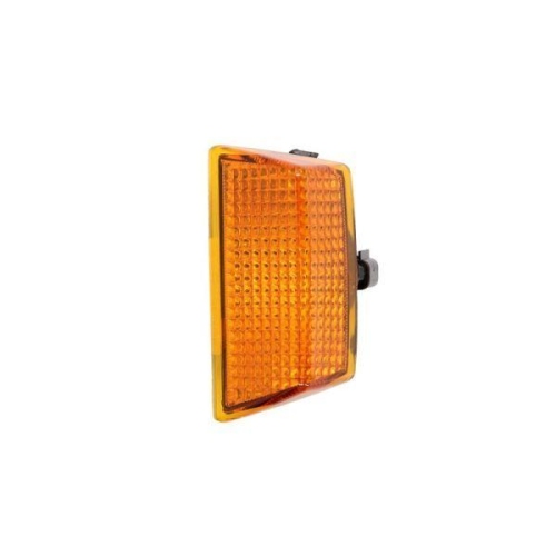 TRUCKLIGHT Blinkleuchte CL-VO001L