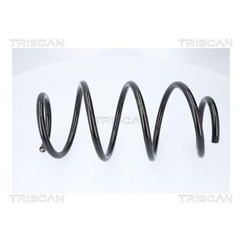 TRISCAN Fahrwerksfeder 8750 29581