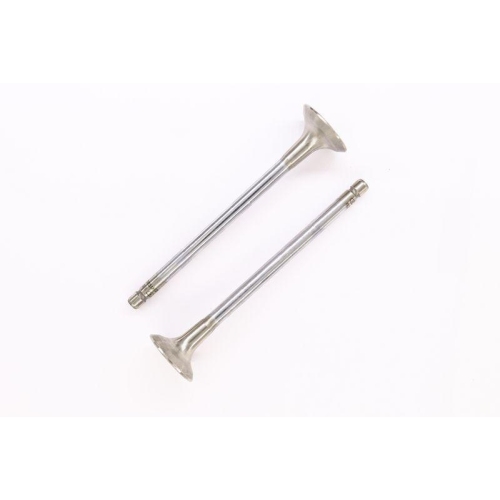 CORTECO Auslassventil 551592B