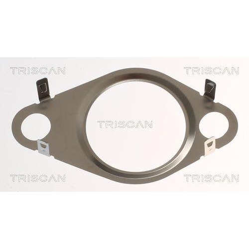 TRISCAN Dichtung 8813 99192