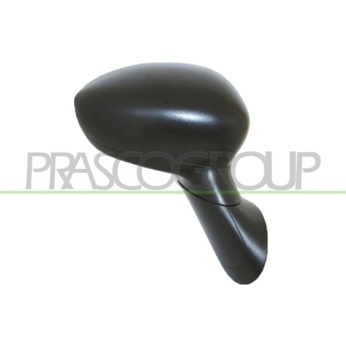 PRASCO Au&szlig;enspiegel Premium FT0307313P