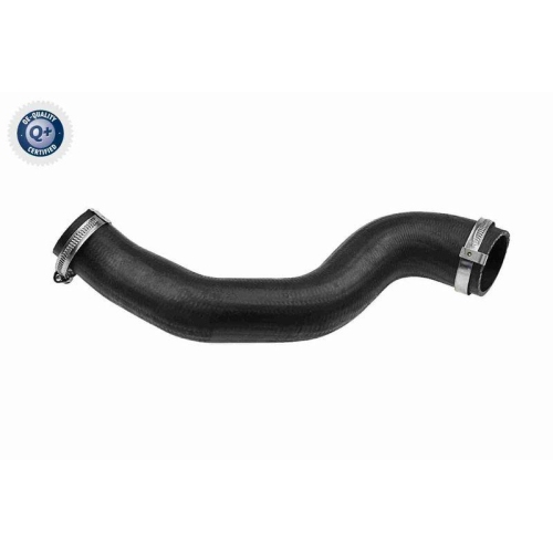 VAICO Ladeluftschlauch Q+, Erstausr&uuml;sterqualit&auml;t V48-0196