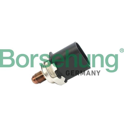 Borsehung Sensor, Kraftstoffdruck