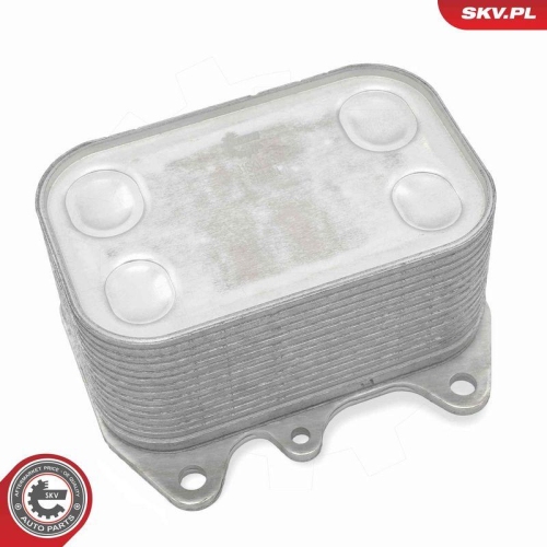 ESEN SKV &Ouml;lk&uuml;hler, Motor&ouml;l 31SKV285