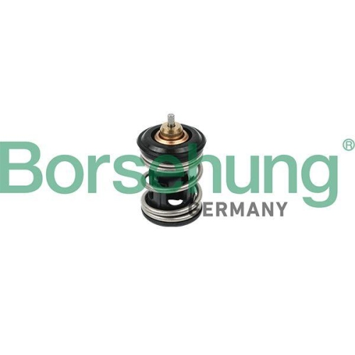 Borsehung Thermostat, K&uuml;hlmittel B18261
