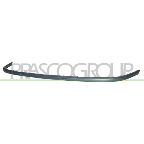 PRASCO Zier-/Schutzleiste, Sto&szlig;f&auml;nger Certified VG0201243