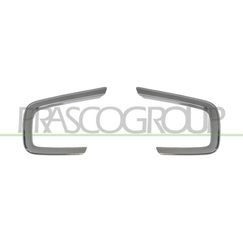 PRASCO Zier-/Schutzleiste, Sto&szlig;f&auml;nger RN9242305
